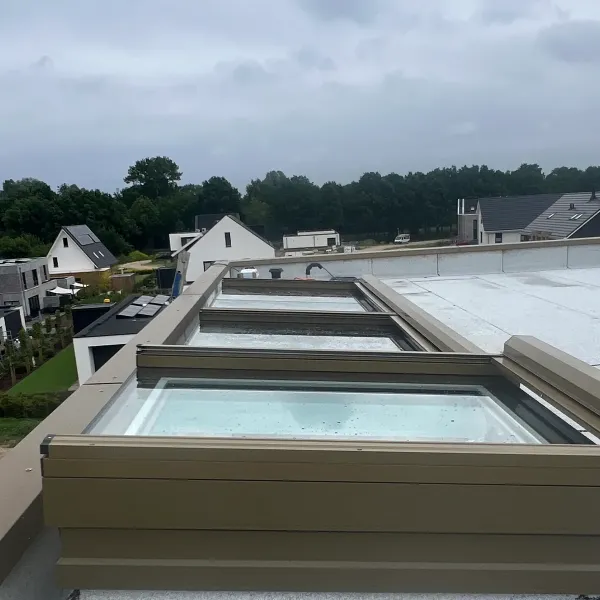 Zutphen topblind L